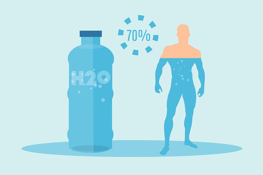 Consommation d'eau conseillée par jour pour un adulte Consommation d'eau conseillée par jour pour un adulte